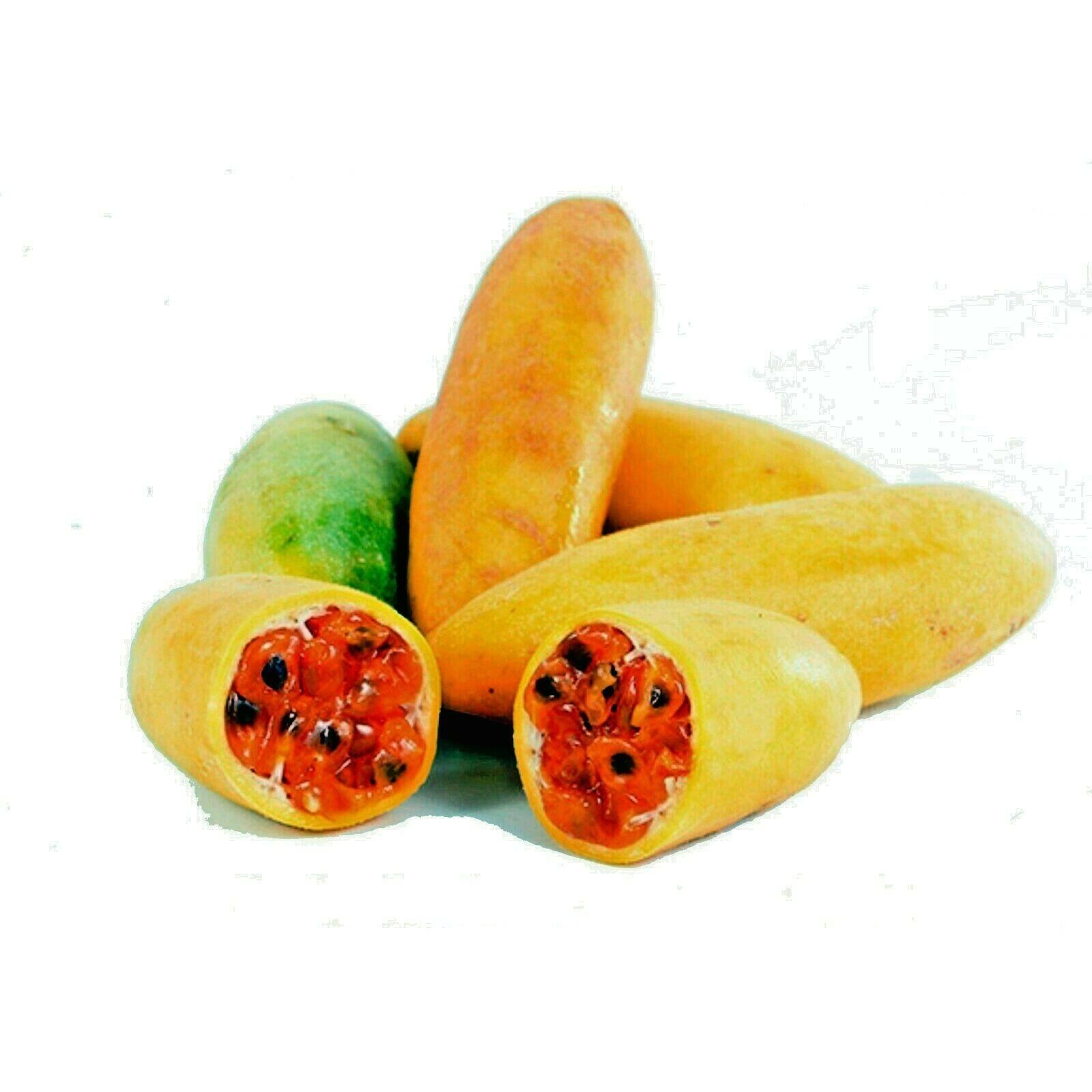 20 BANANA PASSIONFRUIT SEEDS (Passiflora Mollissima) Fast Flower Vine Plant RARE