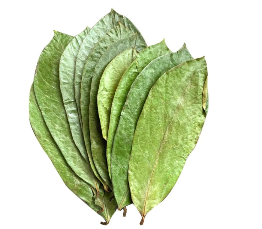 2 oz Soursop Leaves for Tea Lovers, Dried Graviola Leaves, Annona Muricata Leave
