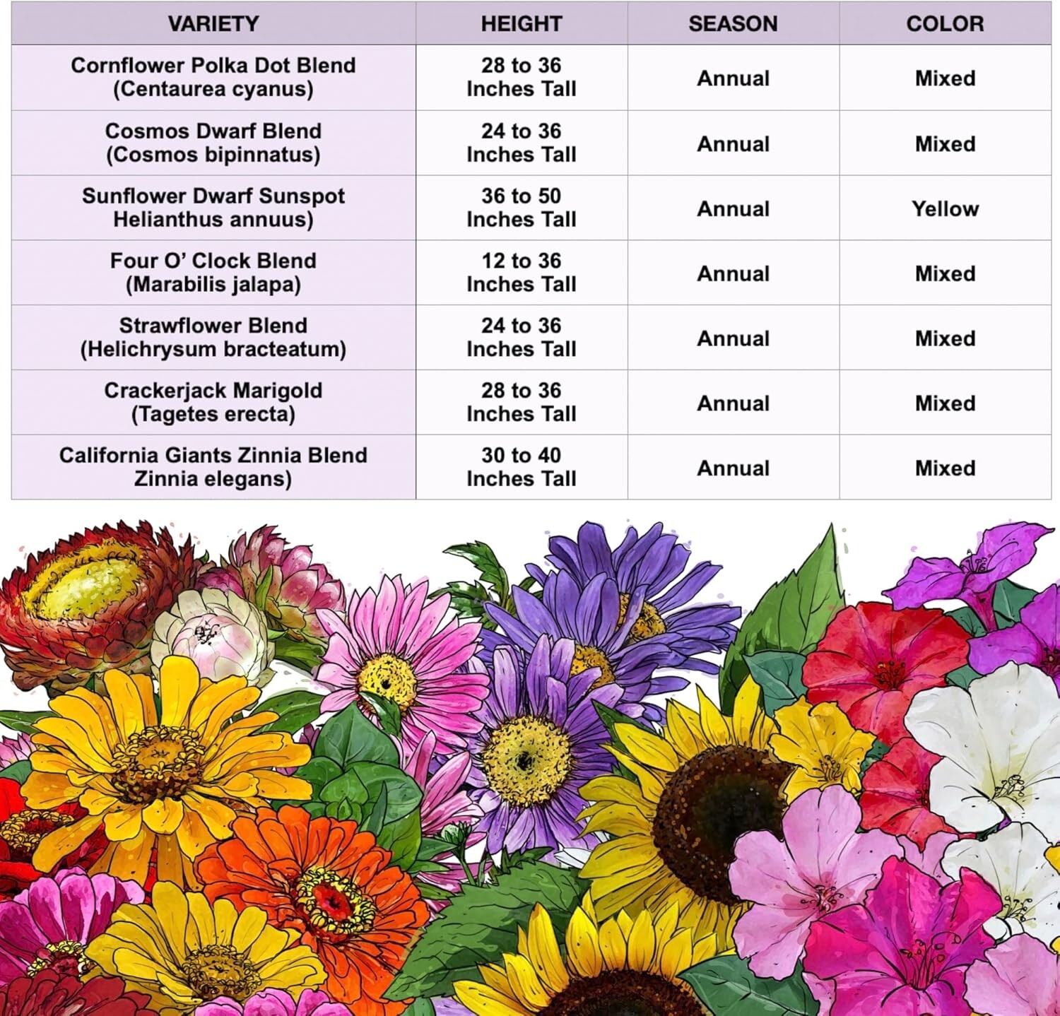 Colorful Wildflower Seed Collection – Attract Pollinators | 1 Oz Heirloom Seeds