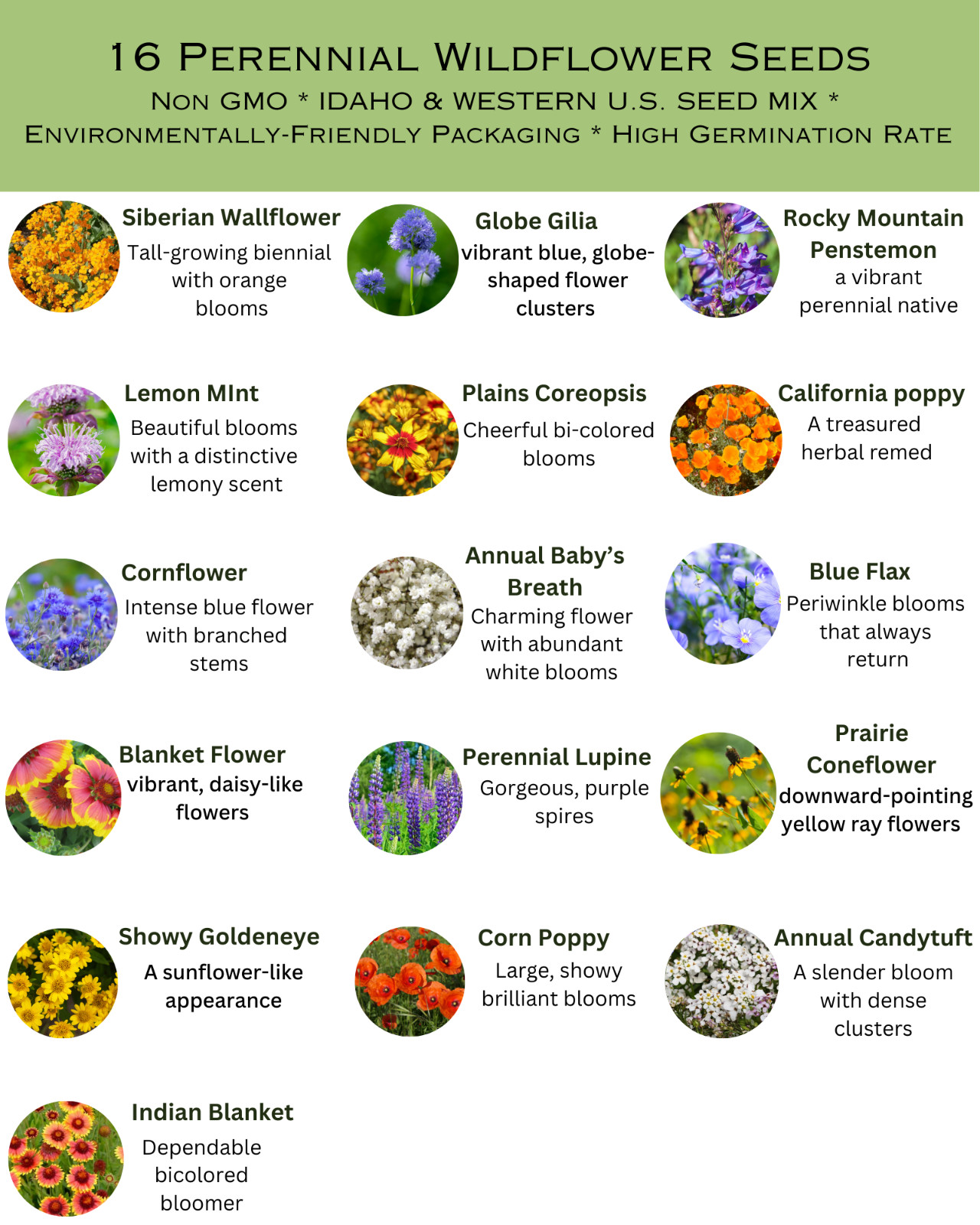 1/4 Pound Idaho Western Bulk Wildflower Seed Mix 1/4lb Covers 800sq-ft