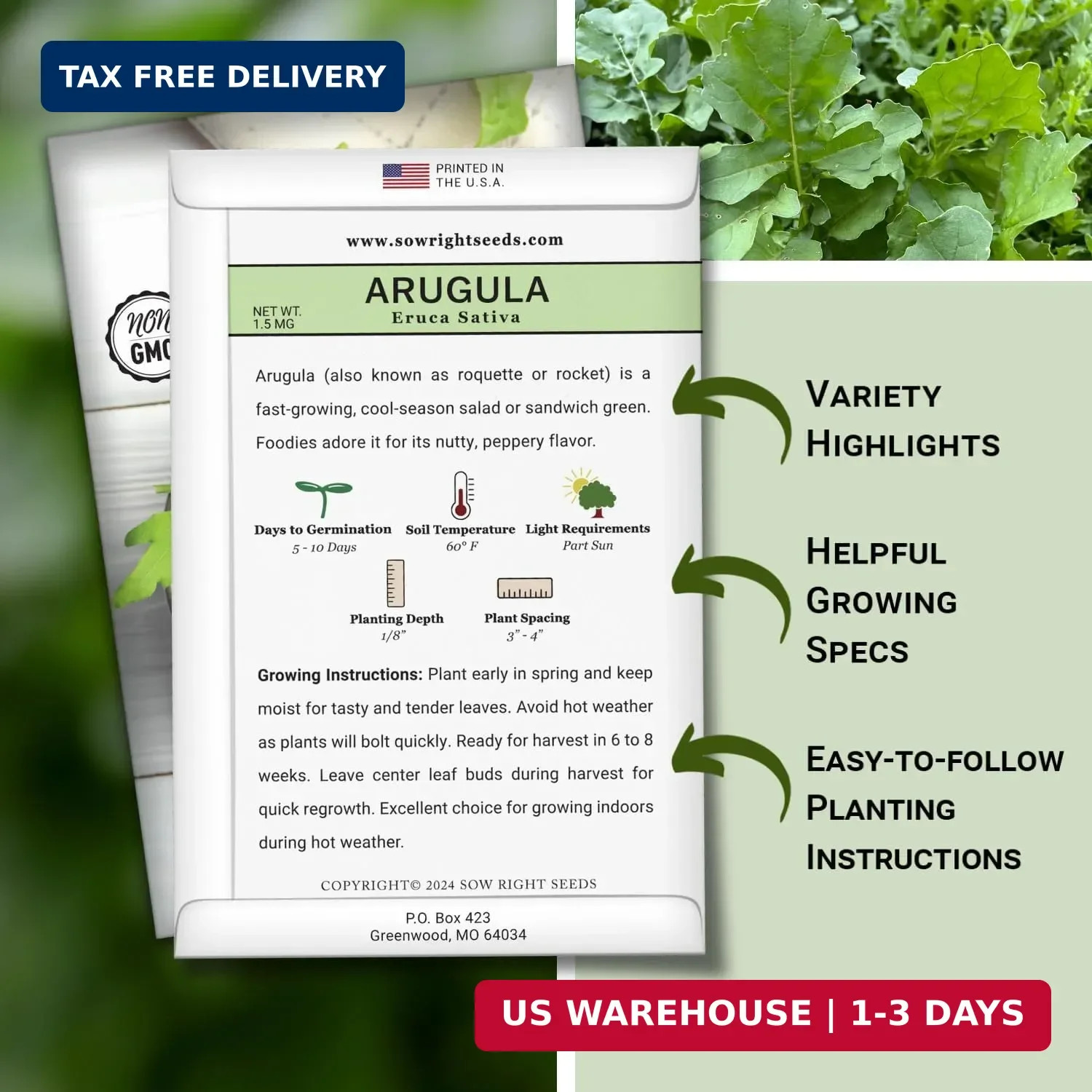 Sow Right Seeds – Arugula Seeds for Planting – Non-GMO Heirloom Seeds with Instr