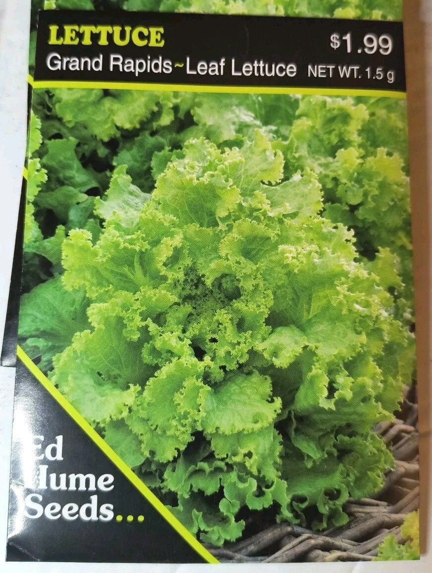 Lot Of 13 Ed Hume Non GMO Herb Mix, Broccoli & Salad Lettuce Seeds