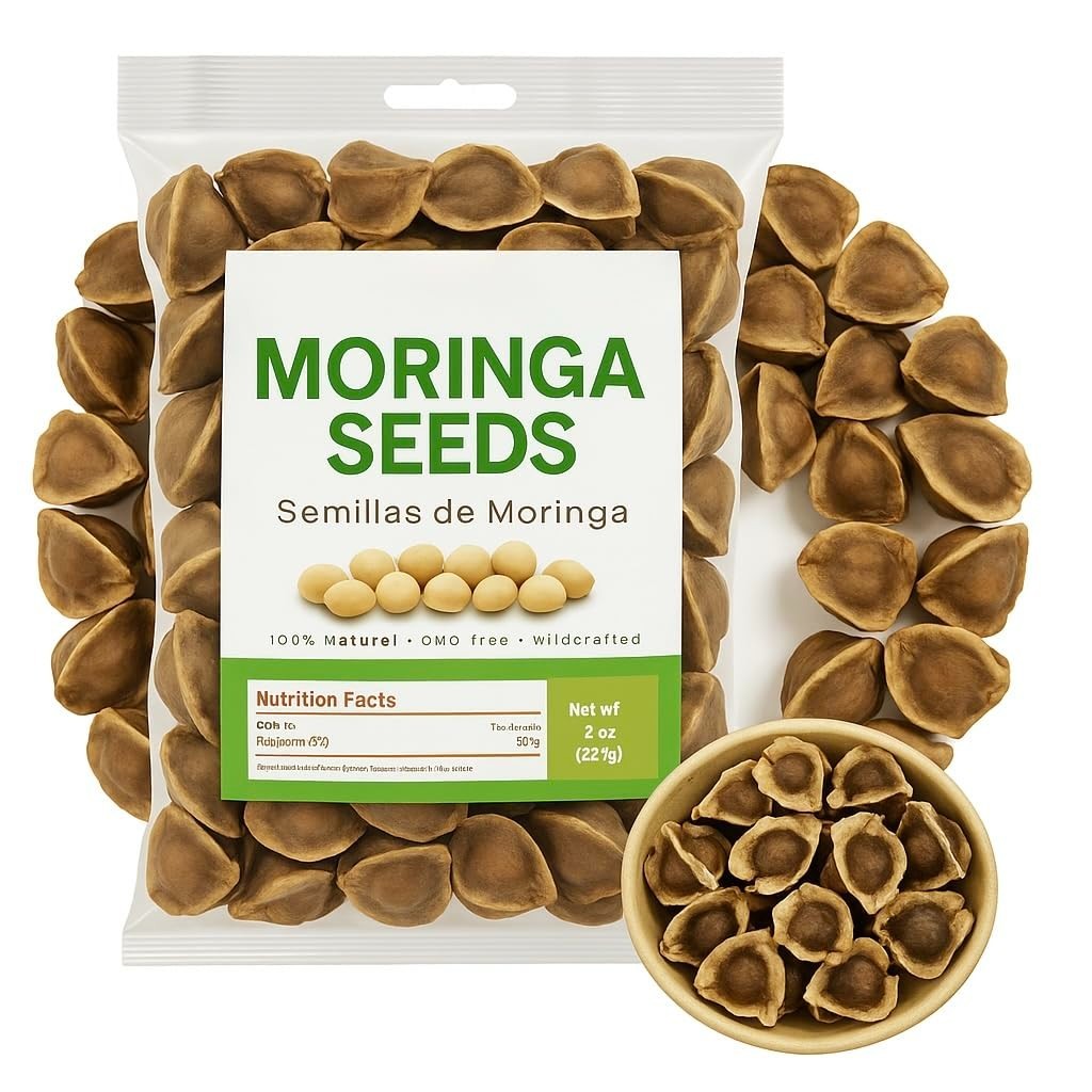 Moringa Seeds PKM1 Premium Non GMO Snacking Planting 4oz Imported Mexico