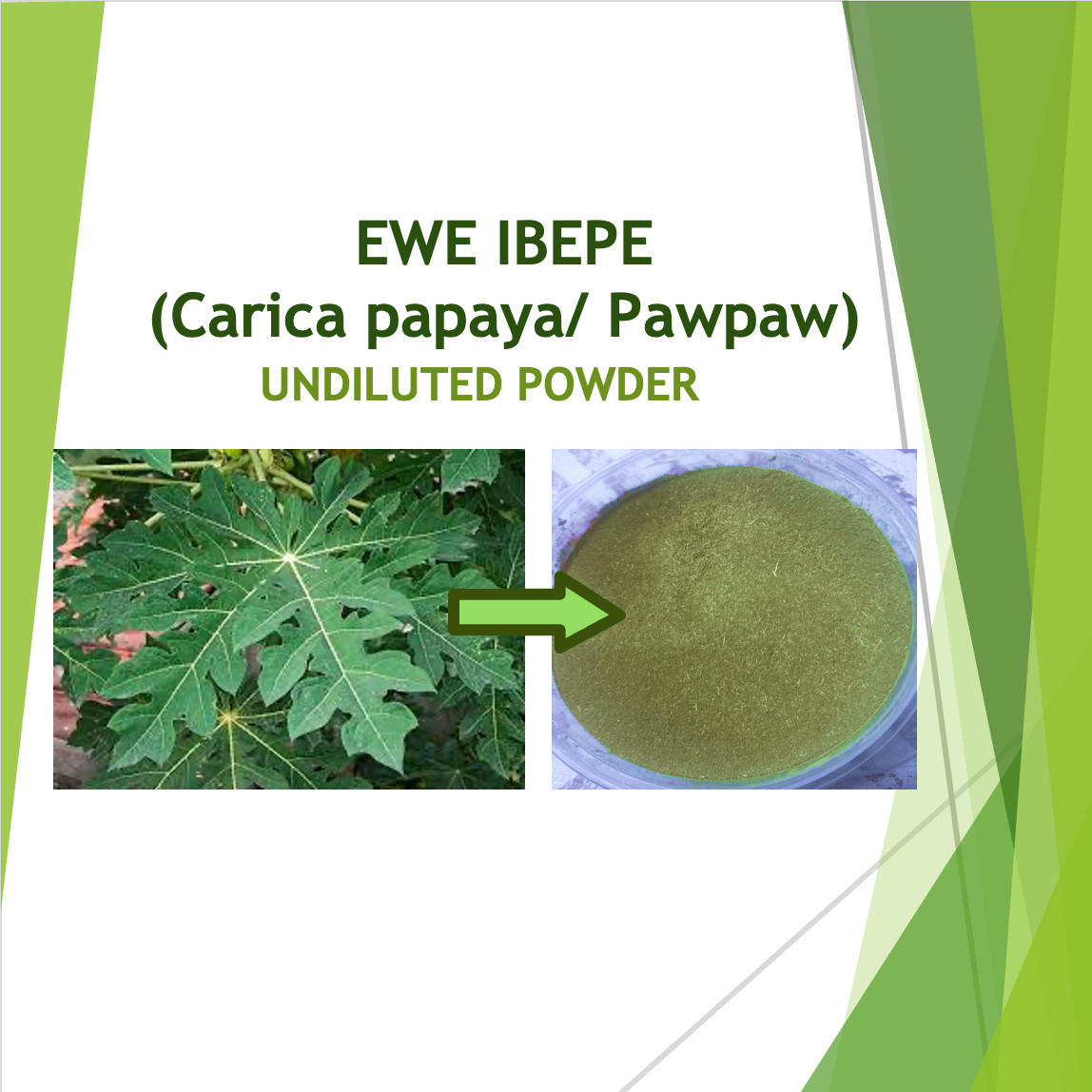 EWE IBEPE (Carica papaya)- Undiluted Powder