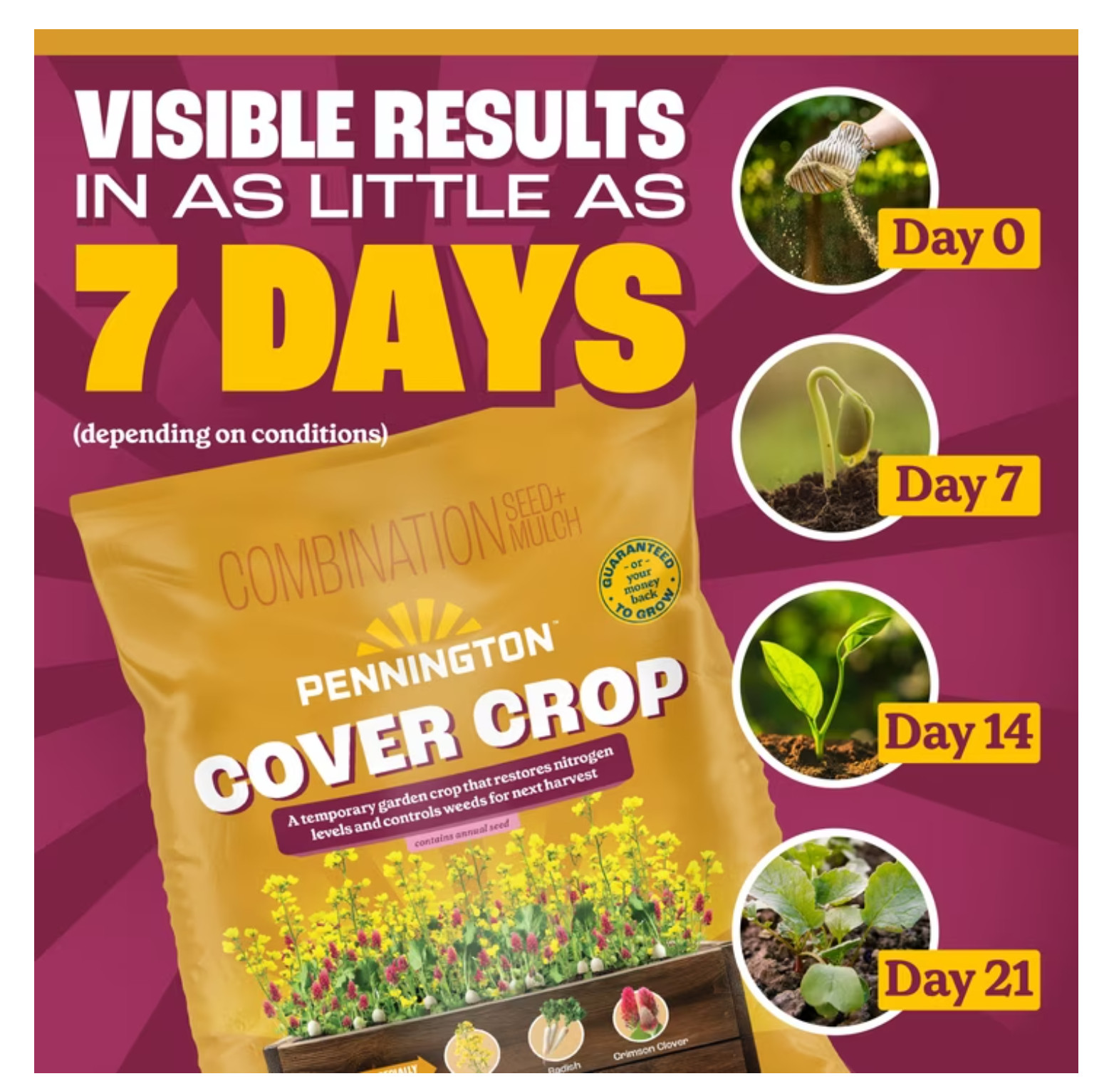 Pennington Cover Crop 2lb Grass Seed Mix for Stronger Garden Soil