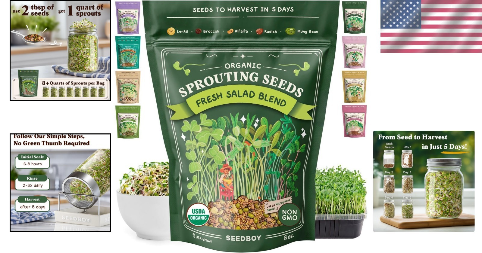 Organic Non-GMO Sprouting Seeds, Fresh Salad Blend – Grown Microgreens Mix w…