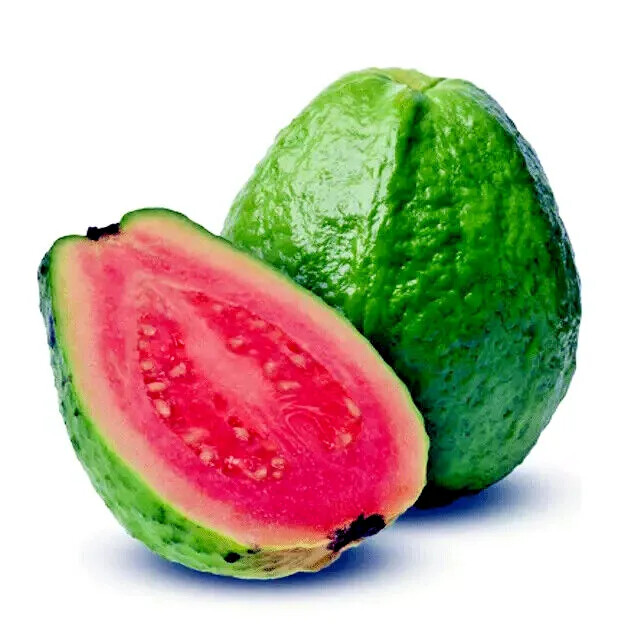 20 Lemon Apple Guava Tree Fruit Seeds ‘Ruby Supreme’ Plant (Psidium guajava)