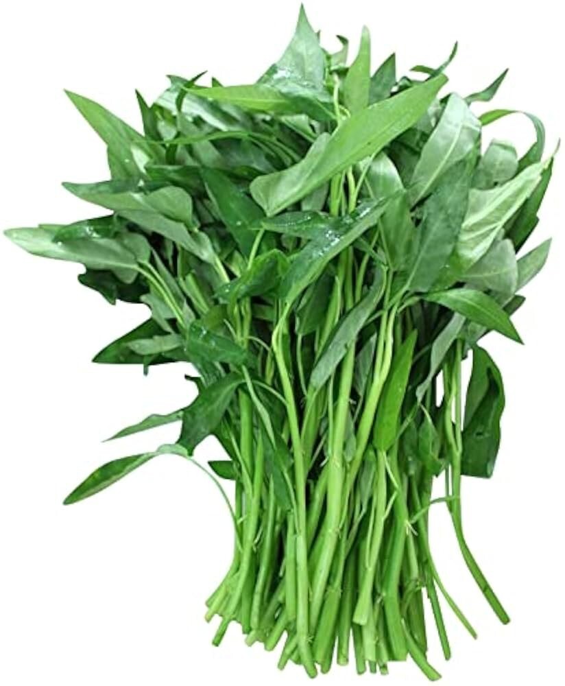 Water Spinach | Ong Choy | Kang Kong Xin Cai | Rau Muống Trắng