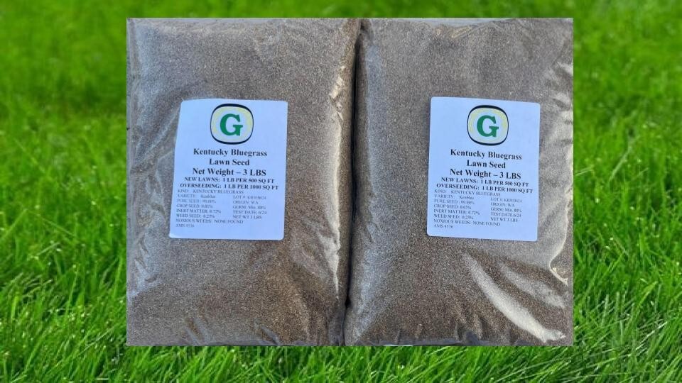 Kentucky Bluegrass Grass Seed – 6 lbs – Direct from Grower – Beautiful Lawn!