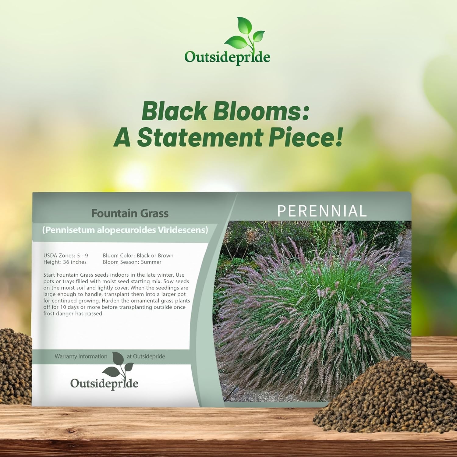 200 Seeds Fountain Ornamental Grass Seed For Planting – Pennisetum