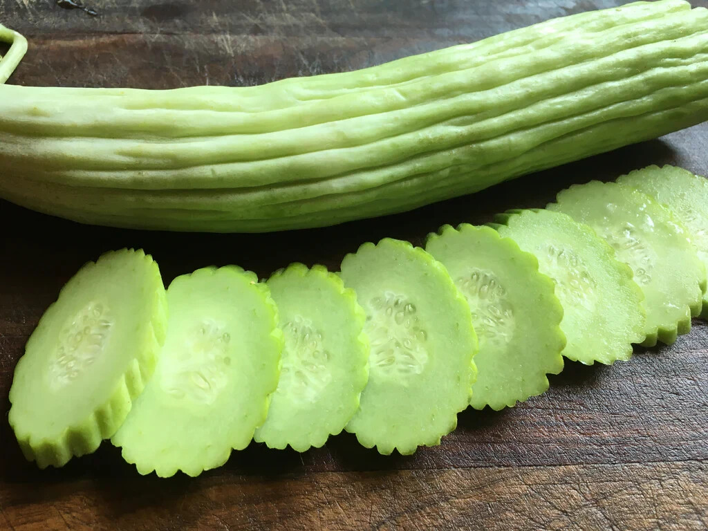 25 ARMENIAN YARD LONG CUCUMBER SEEDS ~ heirloomseedguy ~ NON-GMO ~ 2026