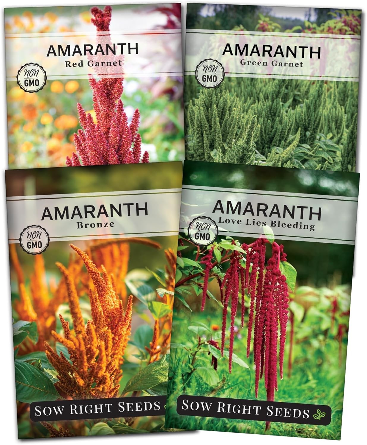 Sow Right Seeds – Amaranth Seed Collection for Planting – Non-GMO Heirloom Varie