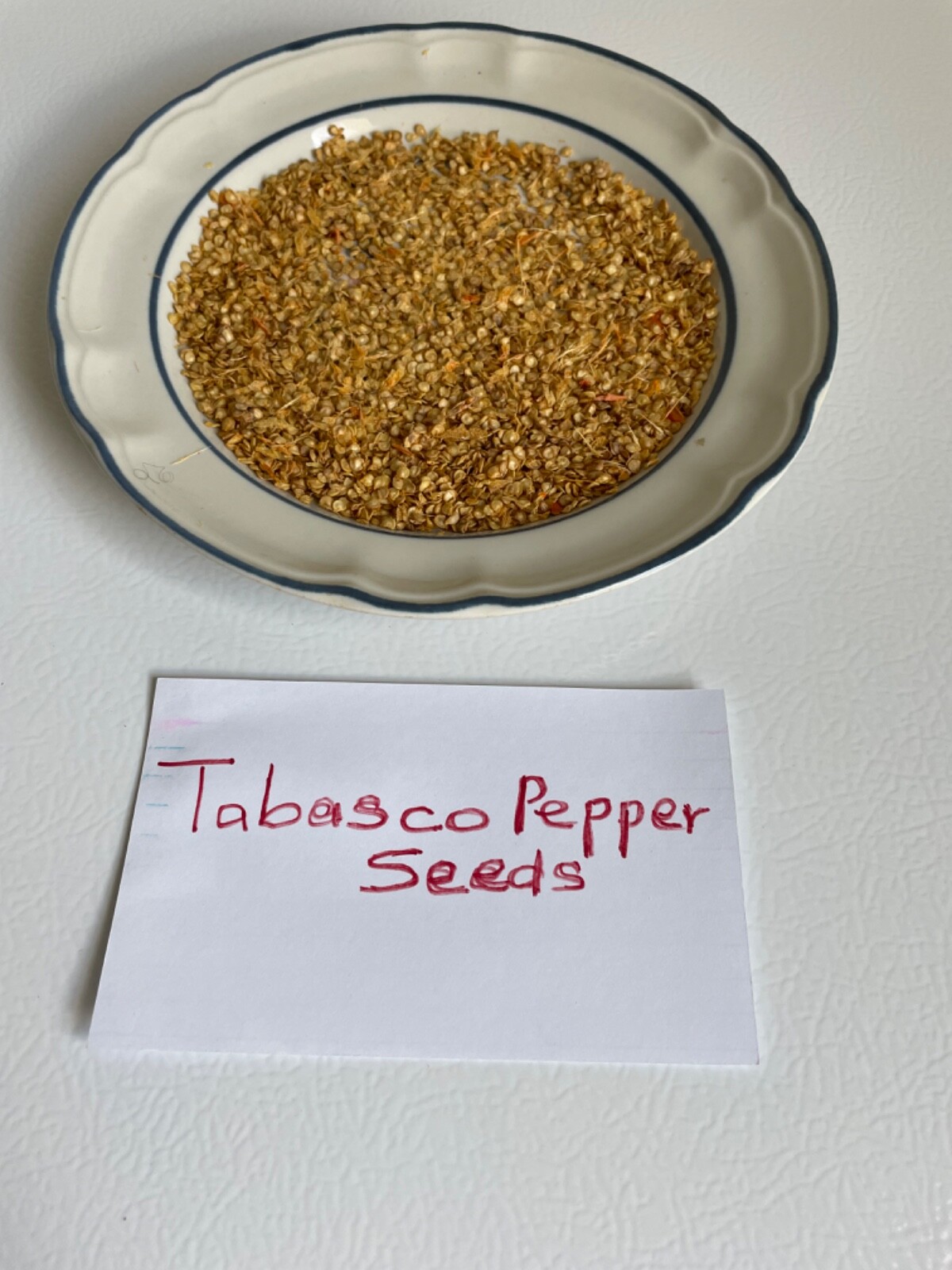 75 Tabasco Pepper Seeds Open Pollinated Heirloom Hot Flavorful No pesticides