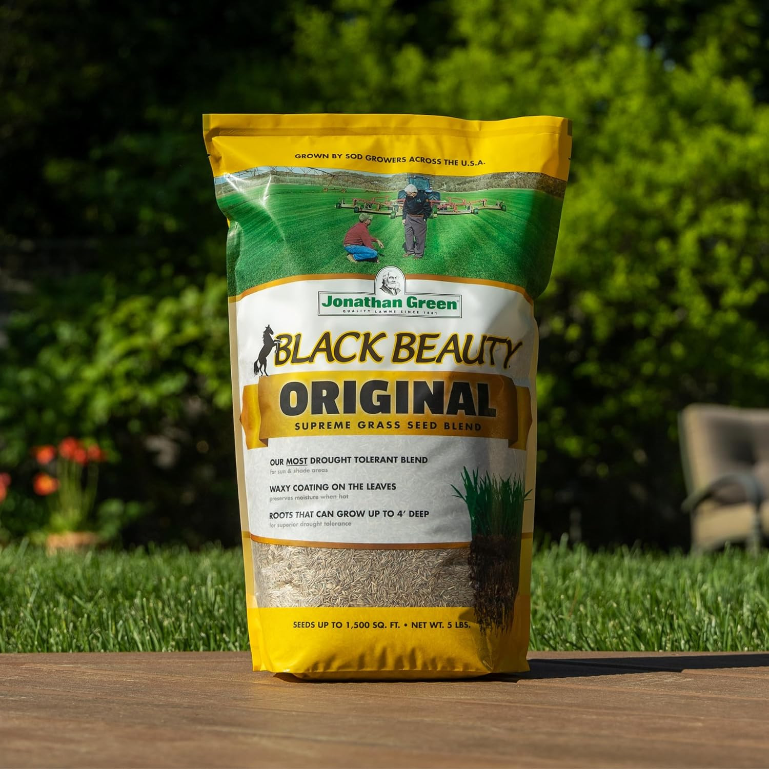 Jonathan Green (10315) Black Beauty Original Grass Seed Blend – Cool Season Lawn