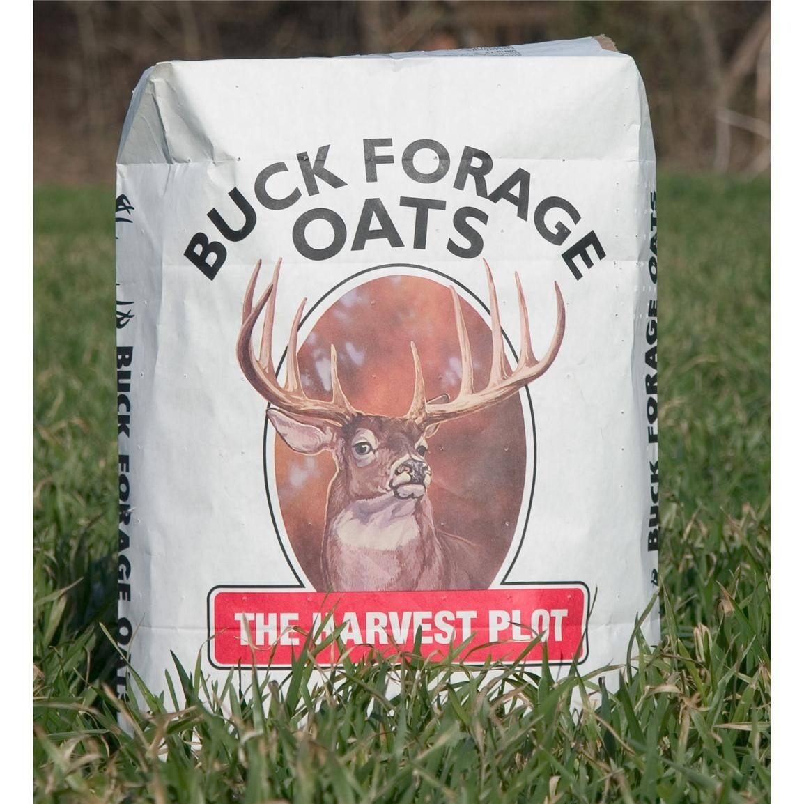 Buck Forage Oats Food Plot Seeds – 50 Lbs.