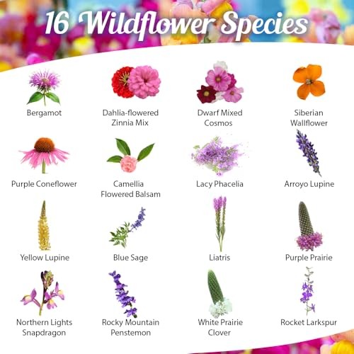 Bumblebee Bonanza Wildflower Seeds – 1oz, Open-Pollinated Wildflower Seed