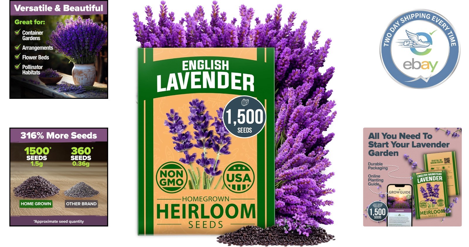 Low Maintenance Non-GMO Lavender Seeds – 1,500+ Blooms for Any Skill Level