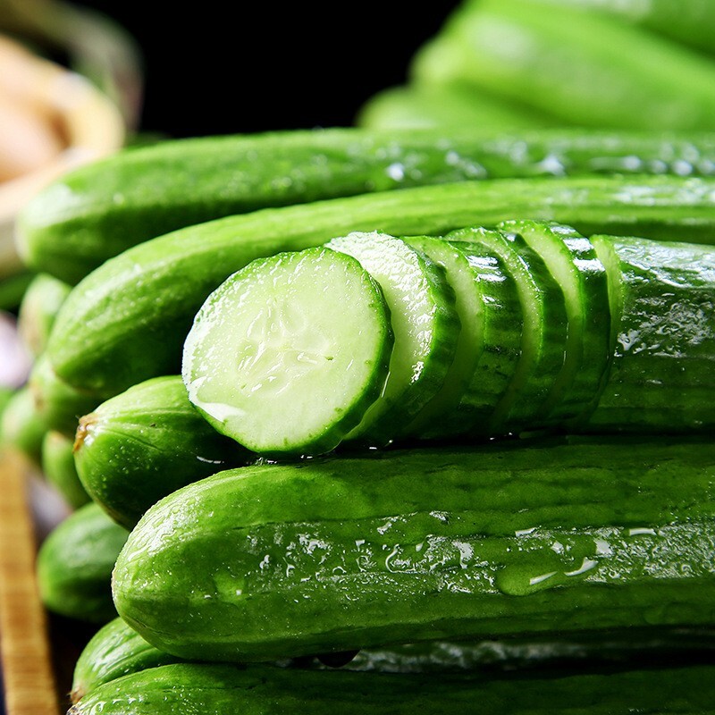 15+Cucumber Seeds Long Garden Sweet Slice Burpless Hybrid Cucumber USA