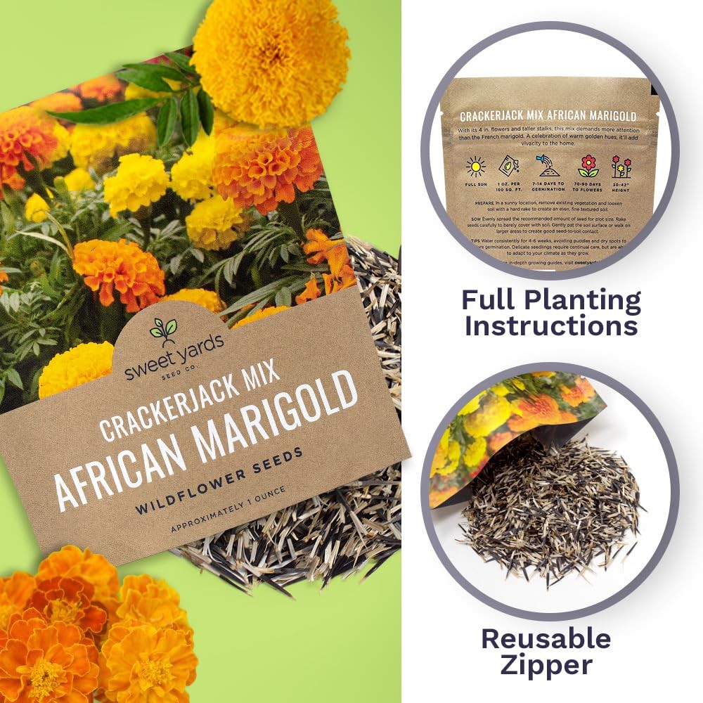 Sweet Yards African Marigold Seeds Mix 1 Ounce (Pack of 1), Orange