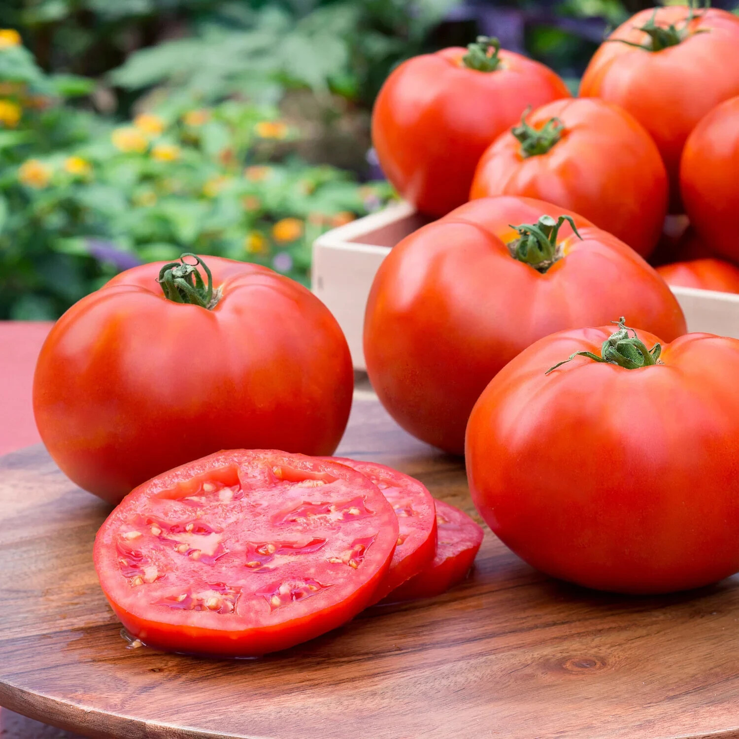 Better Boy Tomato Seeds Hybrid Non GMO Vegetable Garden