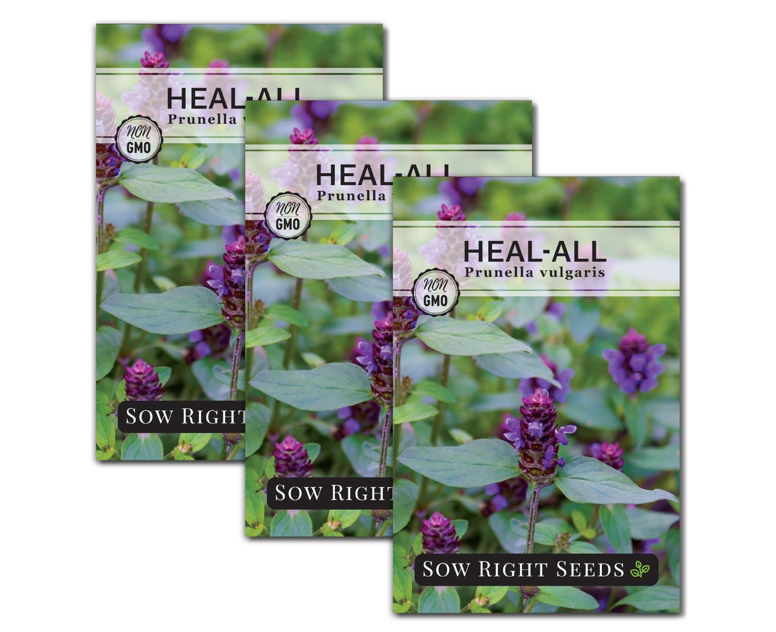 Heal-All Seeds for Planting – Non-GMO Medicinal Herb for Wildflower Gardens