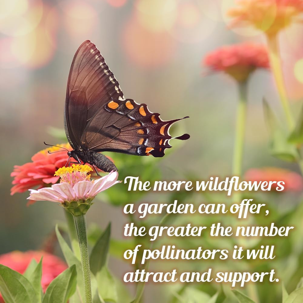 Monarch Butterfly Rescue Wildflower Seed Packet – 1Oz, Open-Pollinated Wildflowe