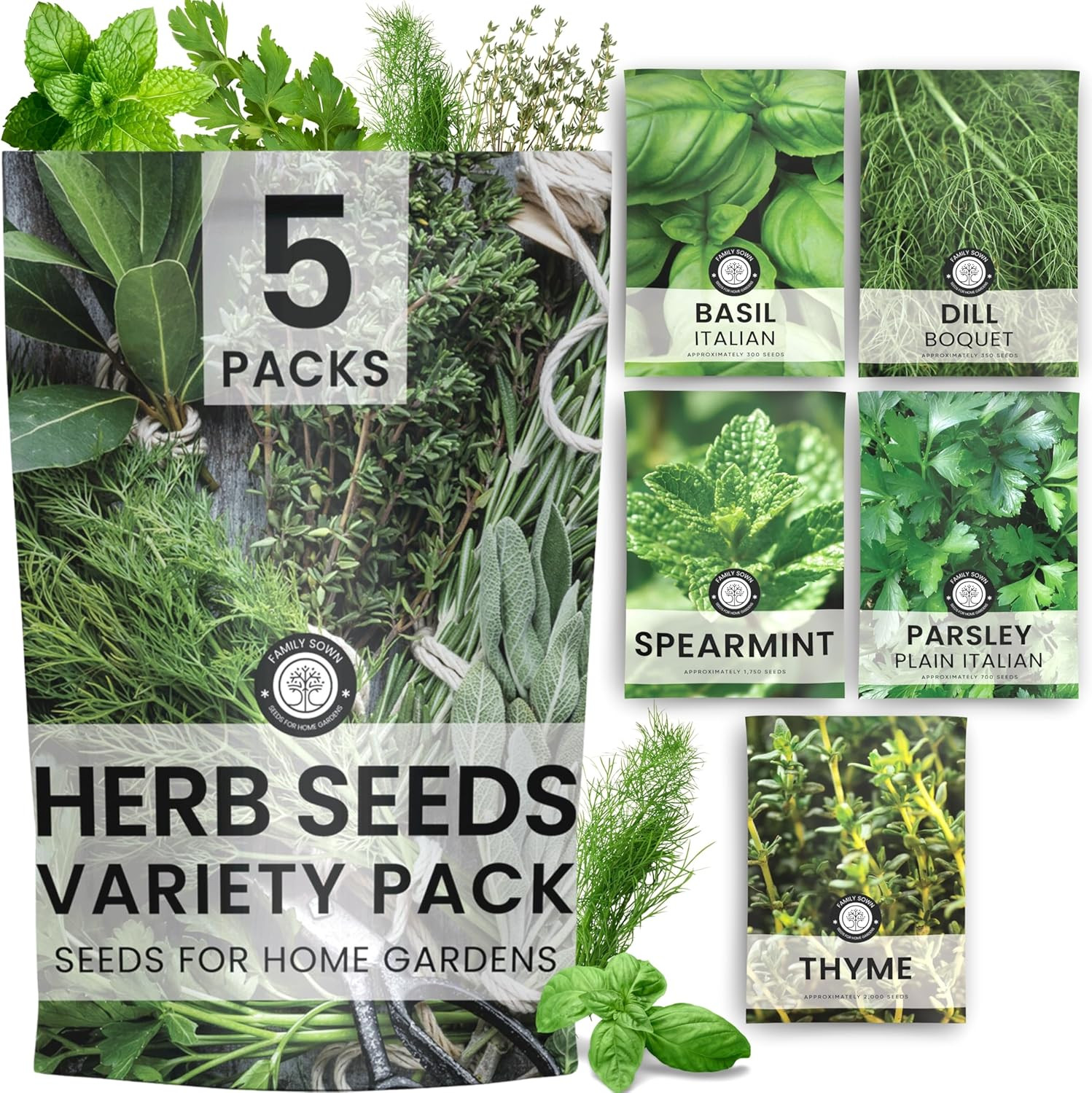 Herb Seeds | 5 Invidiual Packs | 2026 Season | Non-Gmo | Basil, Dill, Spearmint,