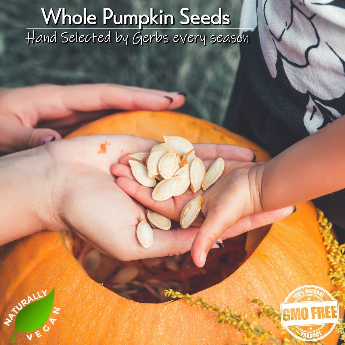 4LB Whole Pumpkin Seeds – Roasted, , Kosher, Allergen Free, Non-GMO Snack