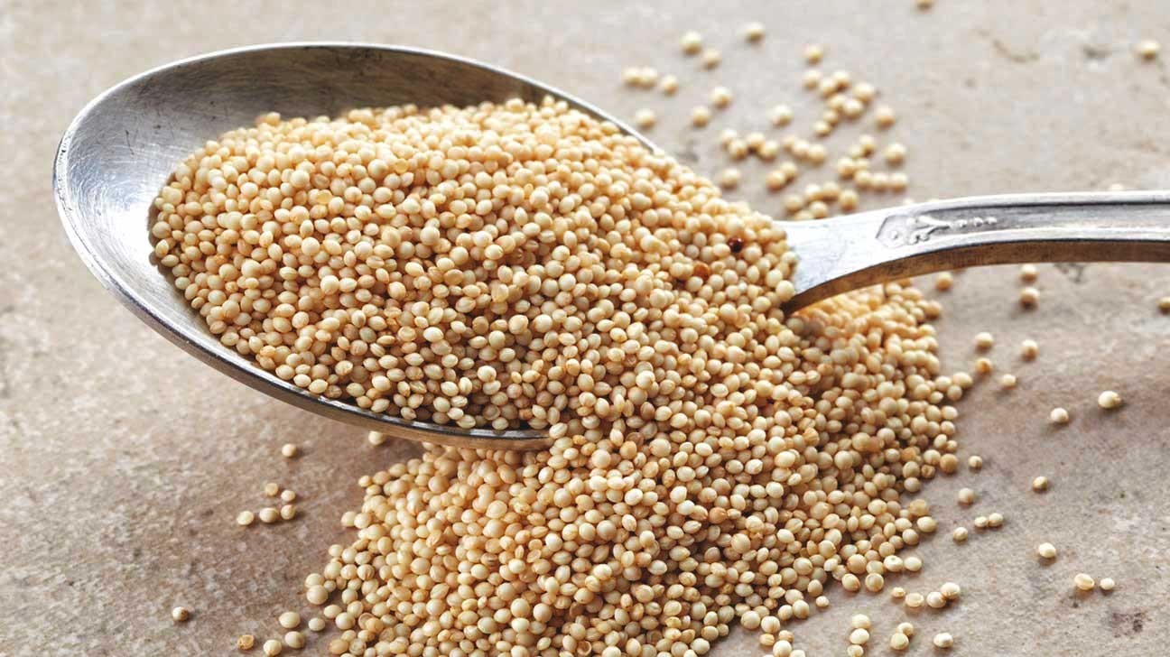 200 Amaranth Seeds | Heirloom I Non-GMO | Organic Free Shipping &Tracking