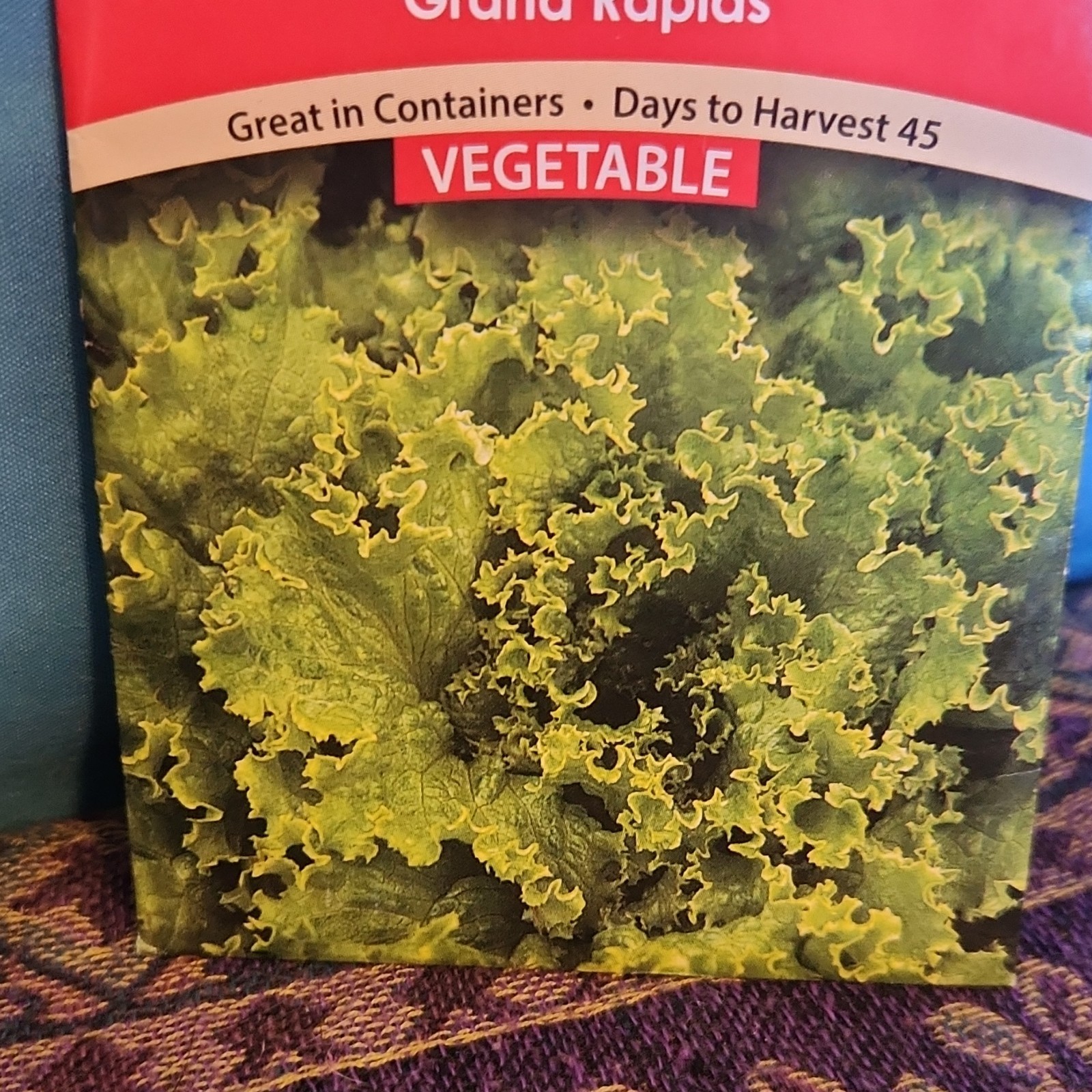 Ferry-Morse Lettuce ‘Grand Rapids’ Vegetable Seeds 45 Days Upright Green