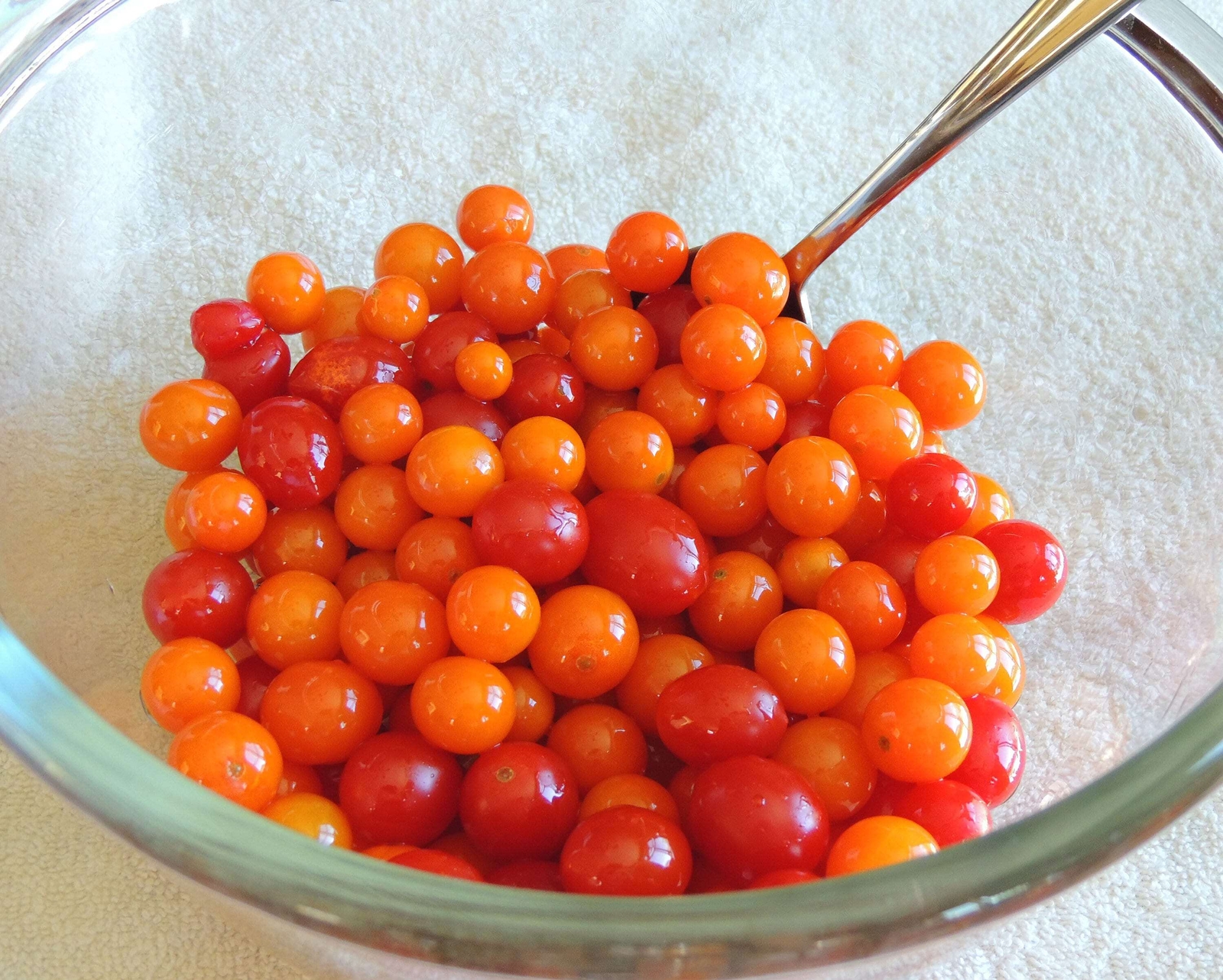 100 ORANGE CHERRY TOMATO Heirloom Solanum Lycopersicum Indeterminate Seeds