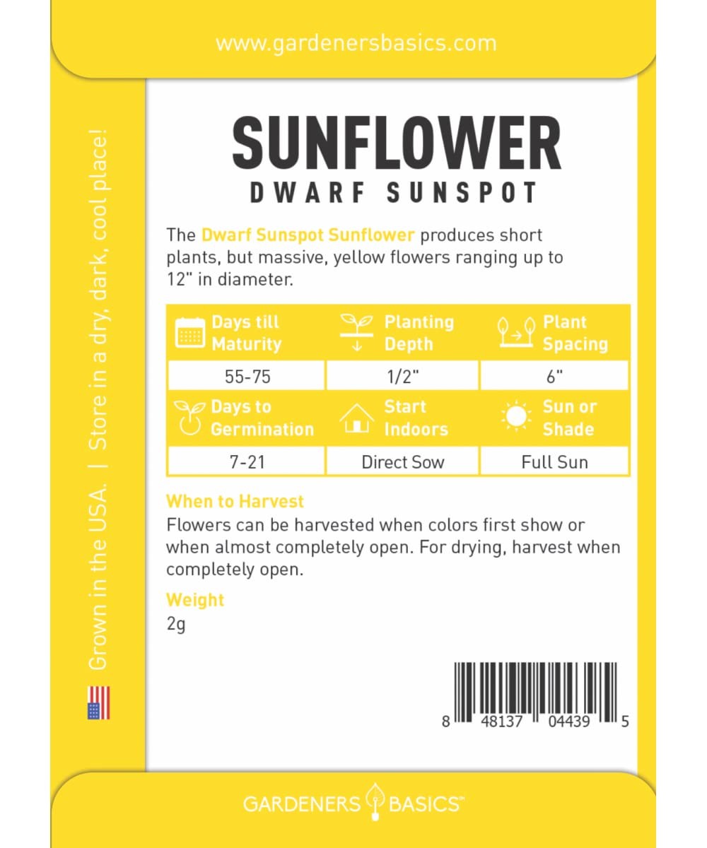 Dwarf Sunflower Seeds For Planting Yellow Sunspot Open Pollinated Non GMO 2 Gram