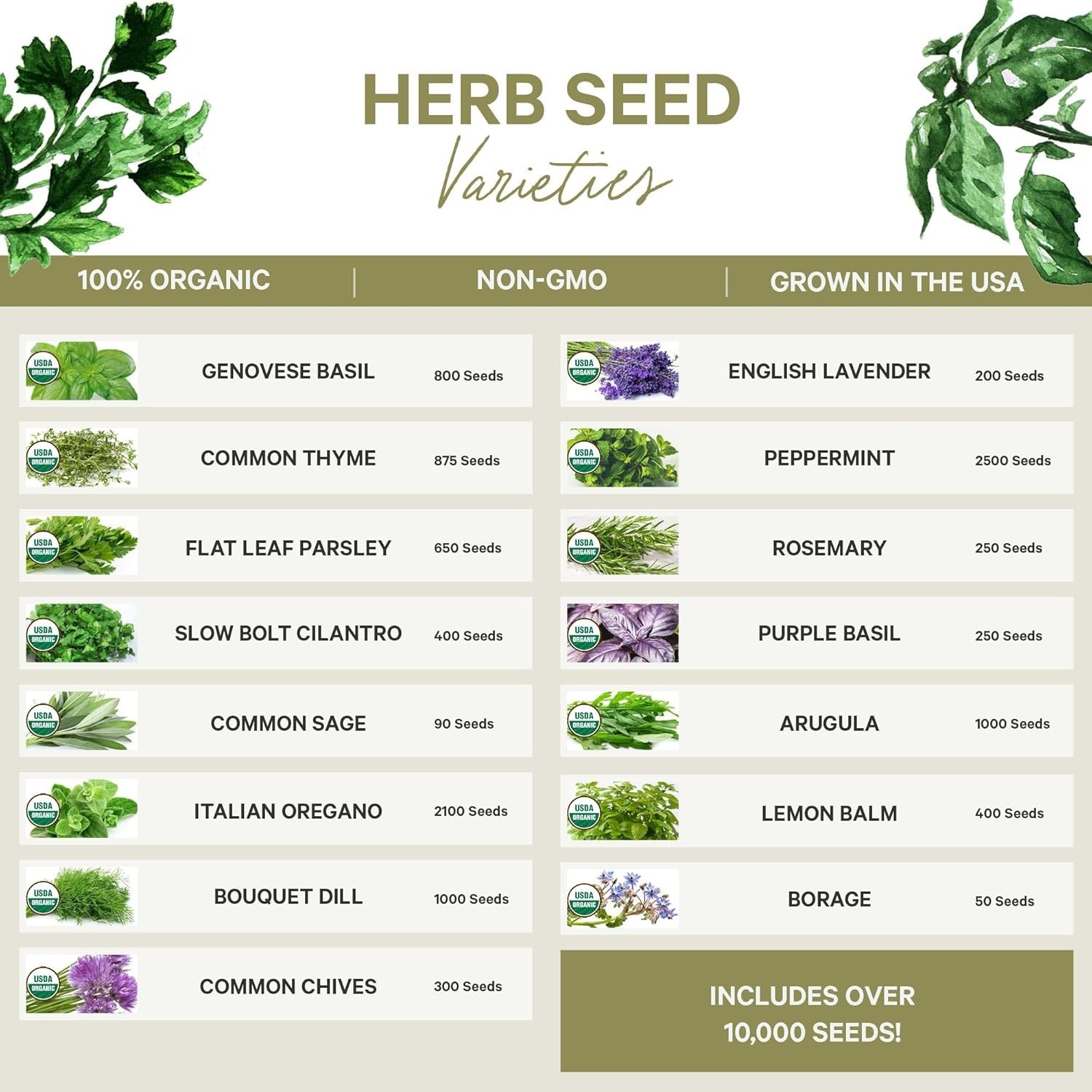 15 Certified Organic Herb Seeds Variety Pack 4X More 10,000+ Non GMO Seeds fo…