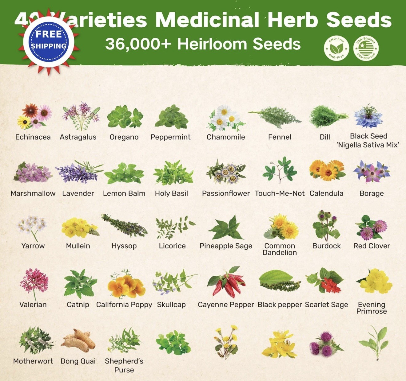 Medicinal Herb Seed Chest 36 000+ Non GMO Survival Kit Lush&Dew Ancestral Gifts