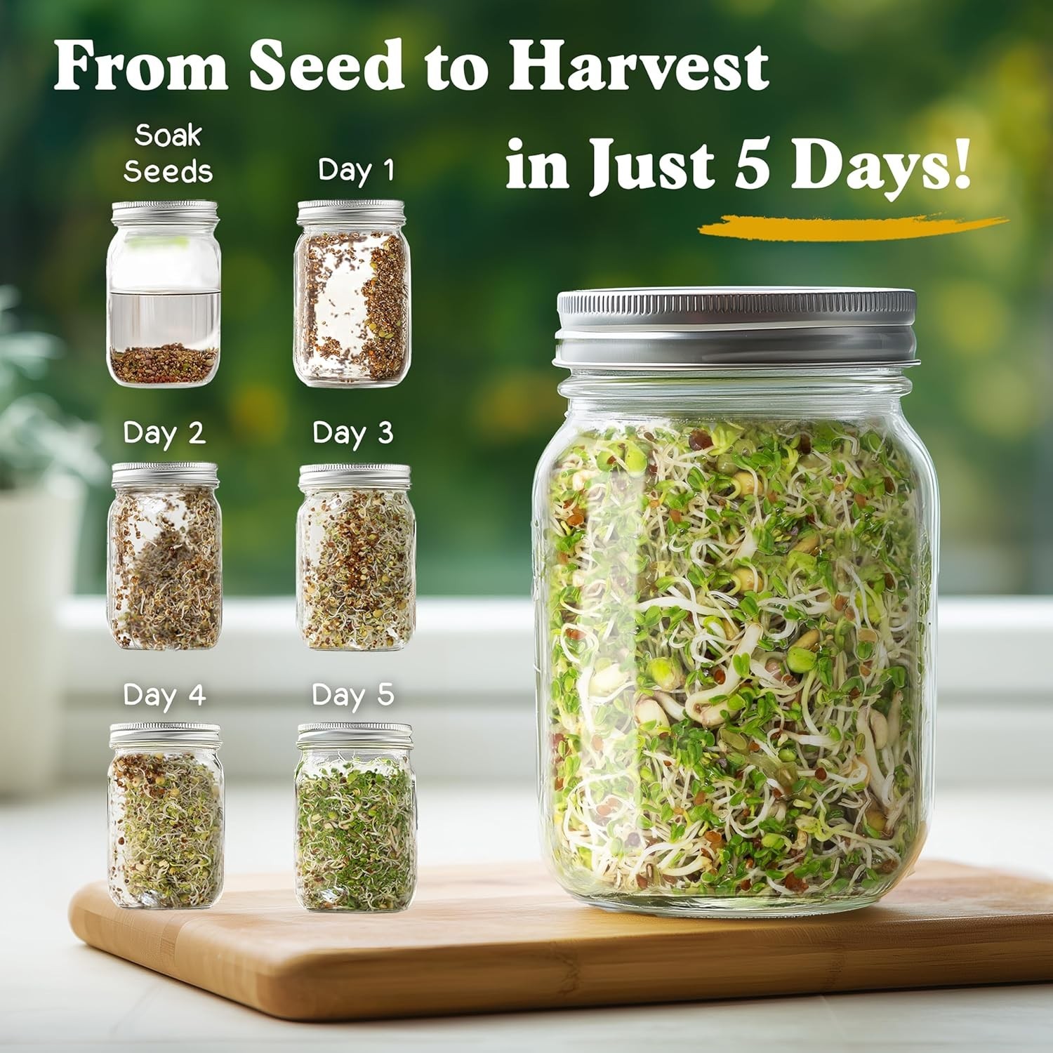 Organic Non-GMO Sprouting Seeds, Fresh Salad Blend – Grown Microgreens Mix w…
