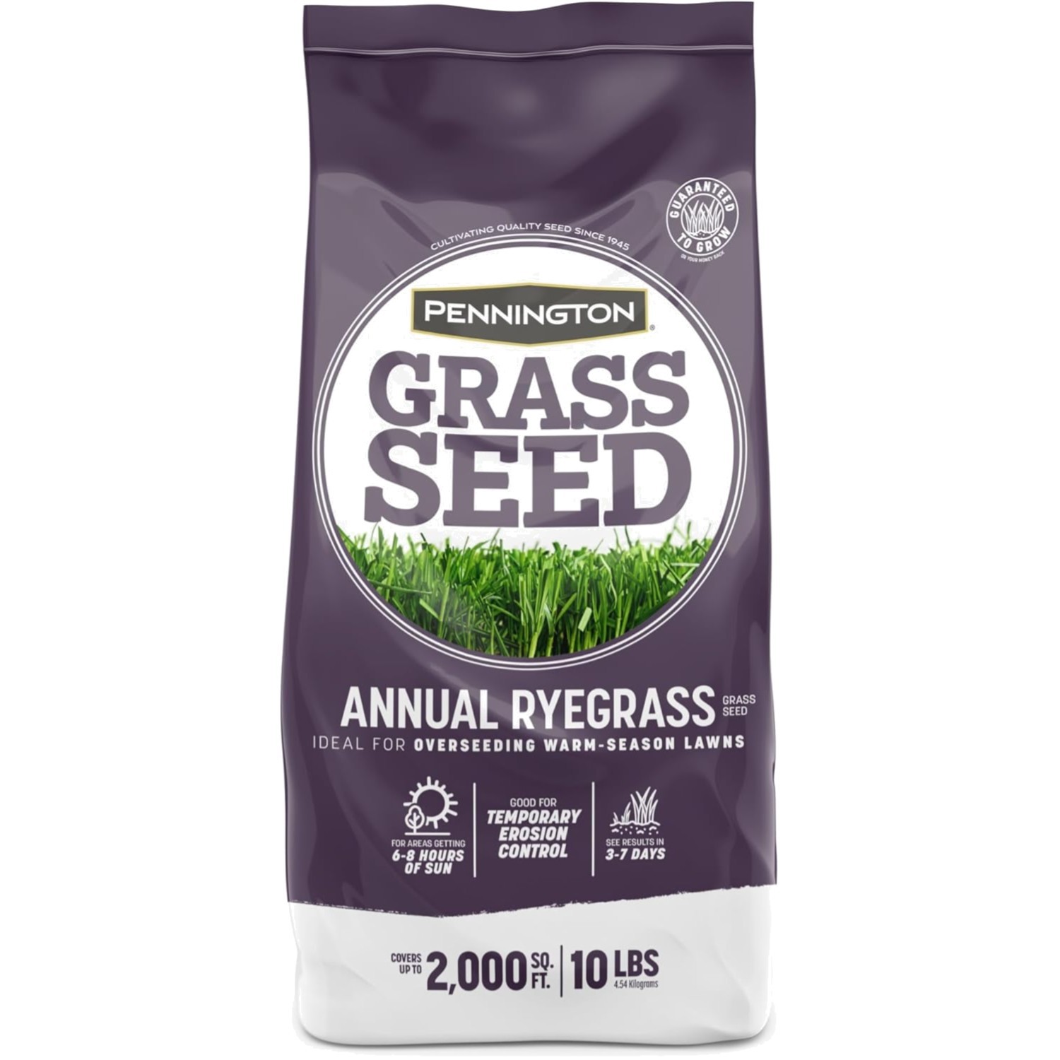 Fast-Growing Annual Ryegrass Seed, 10 Lb – Disease-Resistant Lawn Solution