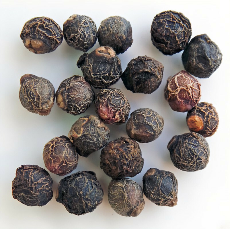 Organic Green Malabar Spinach Seeds Alugbati Mồng Tơi US Seller