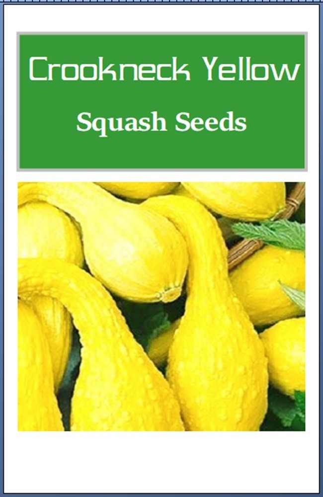 Crookneck Yellow Squash Seeds | NON-GMO | Heirloom | Fresh Garden Seeds