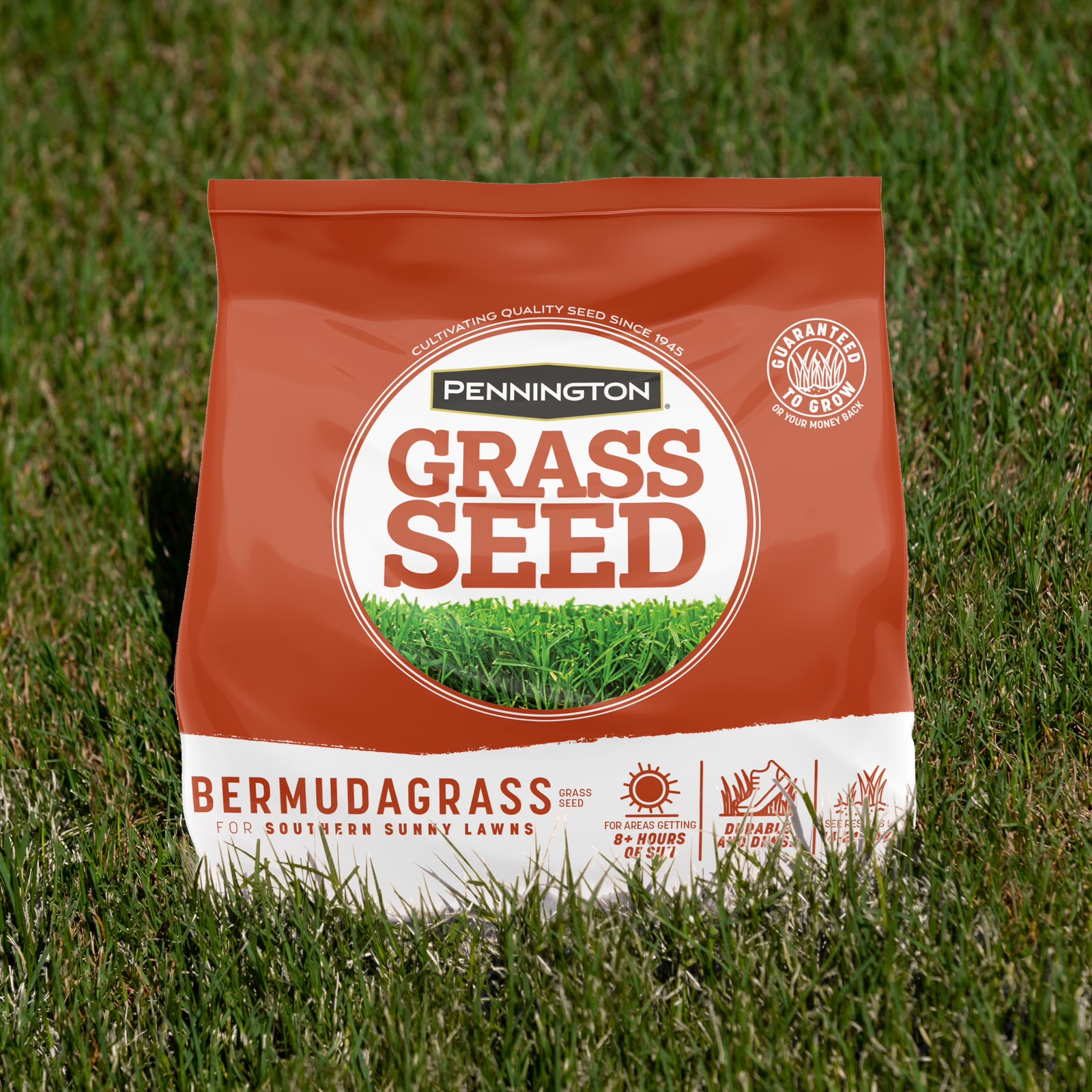 Bermudagrass Grass Seed, for Full Sun, Southern Lawns, 15 Lb Bag