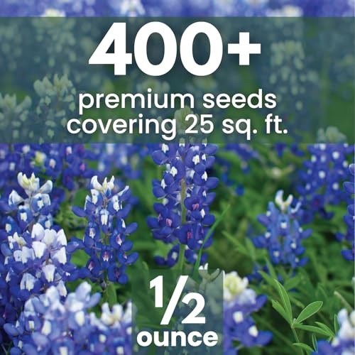 Texas Bluebonnet – 400 Seeds for Planting – 2026 Season – 0.5 Ounce 1/2 Ounce