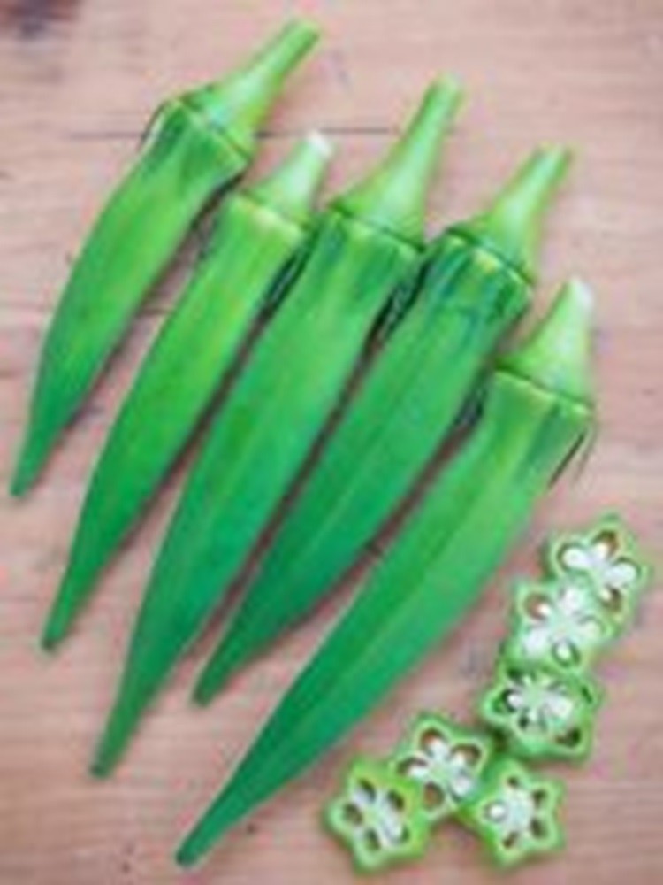 2026 Heirloom Vegetable Seeds – Premium Garden Seeds for Planting