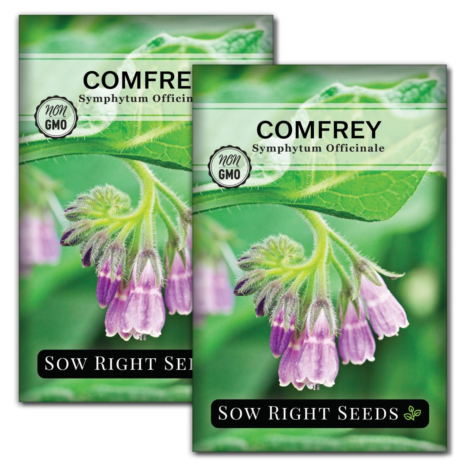 Comfrey Seeds for Planting – NonGMO Heirloom for Medicinal Herbs & Soil Health
