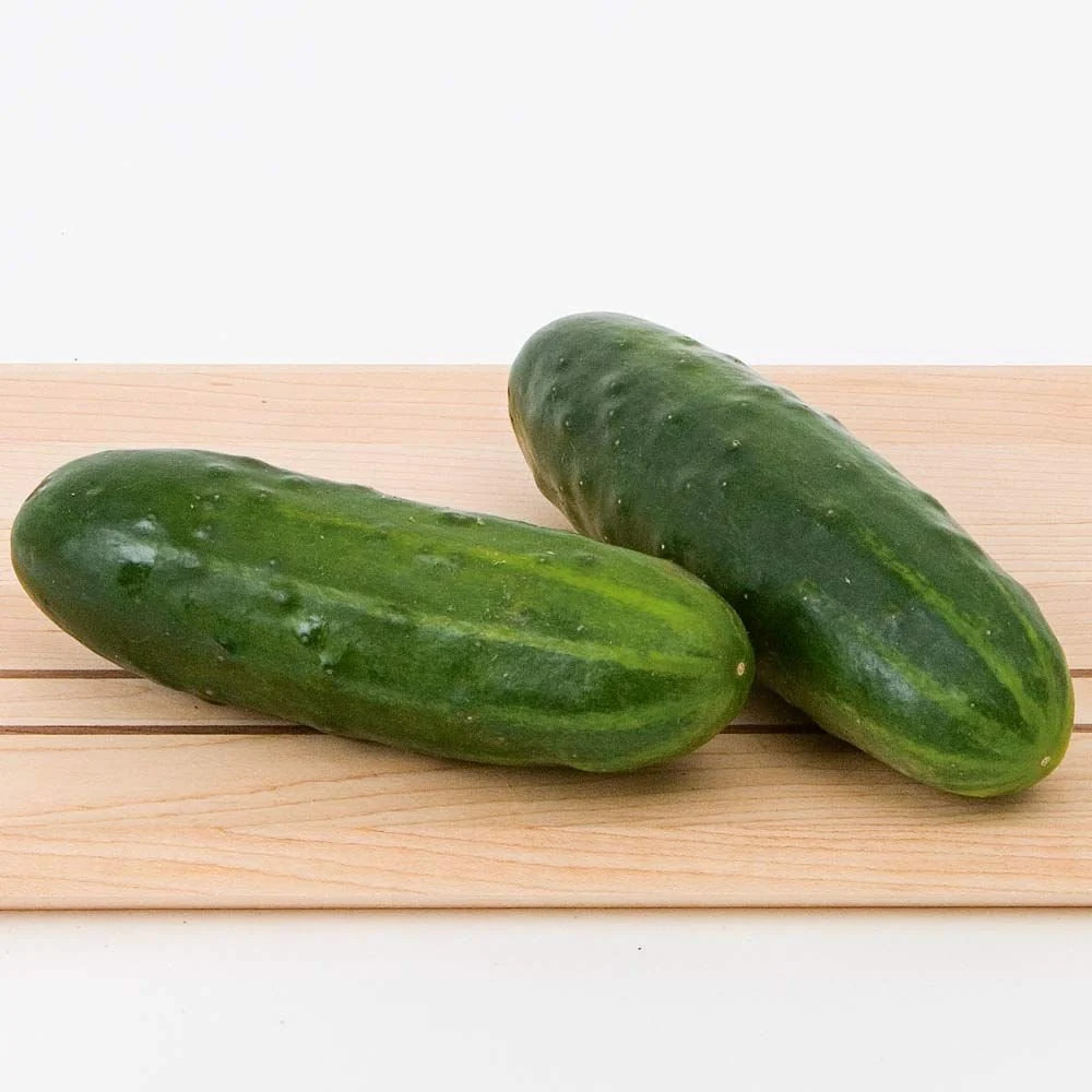Spacemaster 80 Cucumber Seeds | Bush Type Small Gardens Container Planting 2024