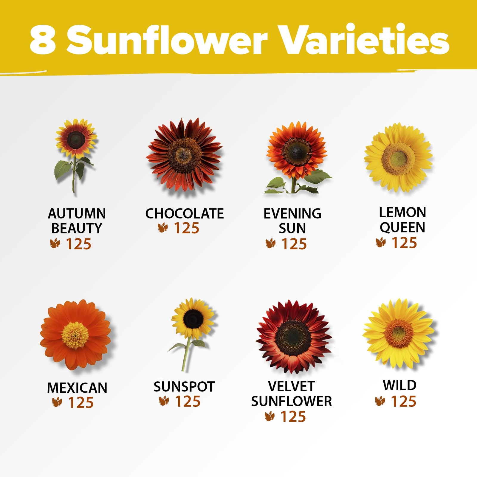 8 Varieties Non-GMO Sunflower Seeds Packets to Plant Dwarf Mexican Wild Lemon