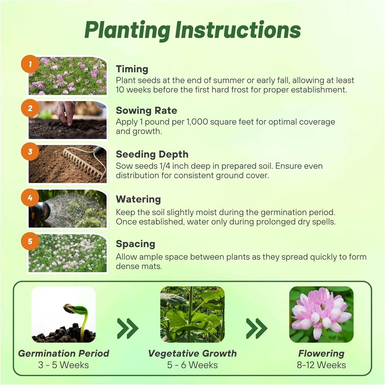 1 LB Drought Tolerant Crown Vetch Seeds For Erosion Control or Ground Cover