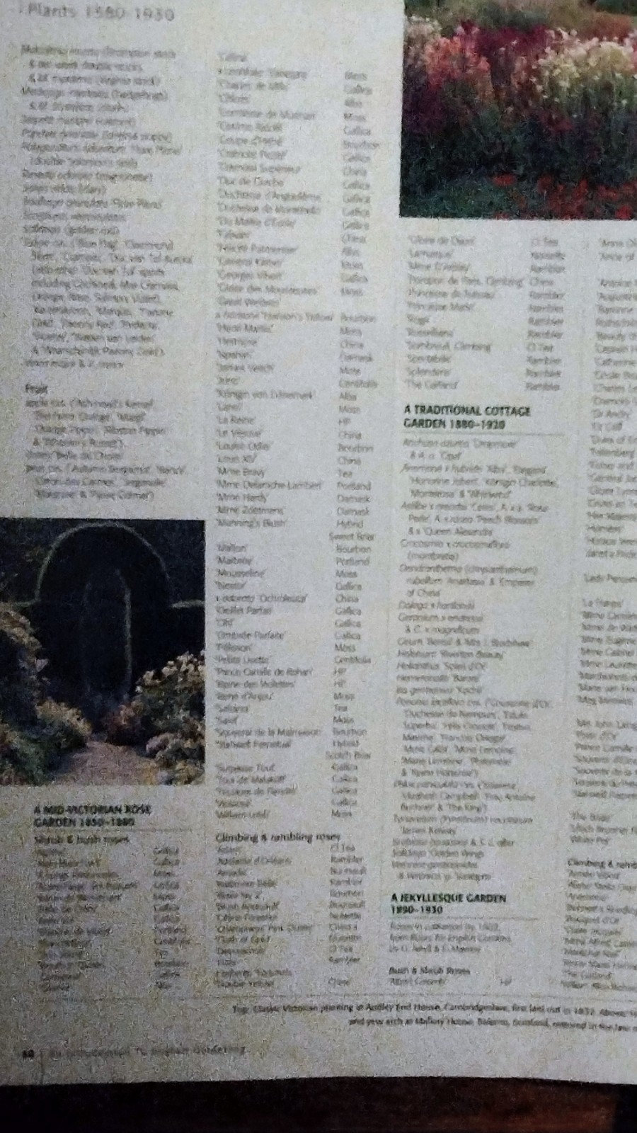MAGAZINE INTRODUCTION TO ENGLISH GARDENING — AMAZON 2000 VICTORIAN / ROSES