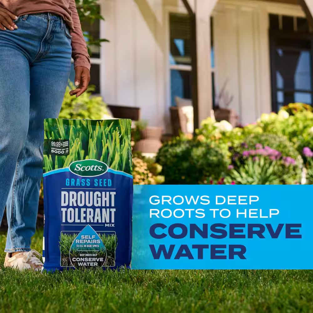 Grass Seed Drought Tolerant Mix 10 Lb. 5,000 Sq. Ft. Kentucky Bluegrass and Tall