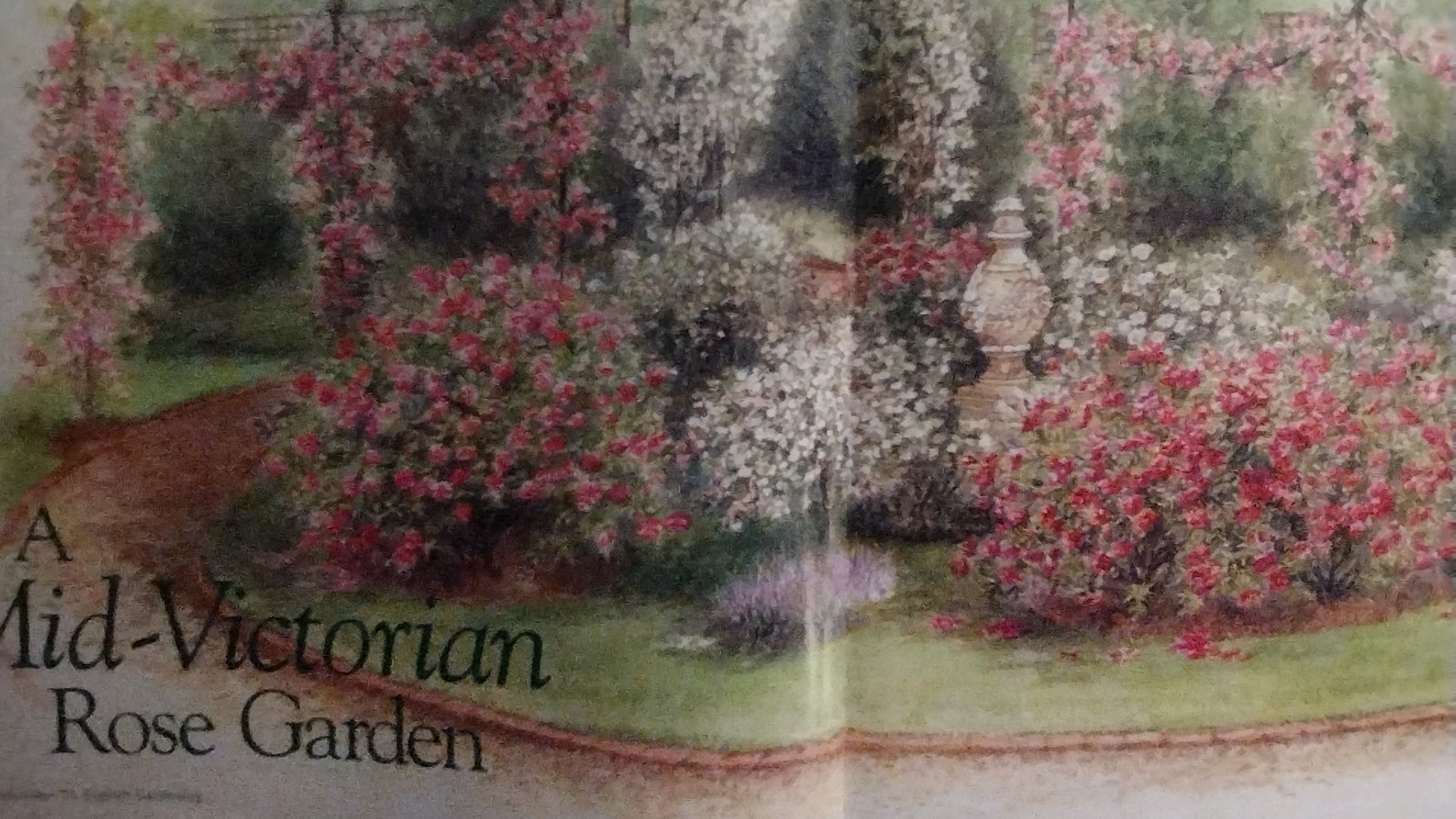 MAGAZINE INTRODUCTION TO ENGLISH GARDENING — AMAZON 2000 VICTORIAN / ROSES