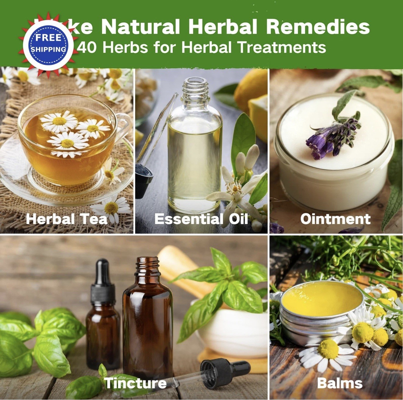 Medicinal Herb Seed Chest 36 000+ Non GMO Survival Kit Lush&Dew Ancestral Gifts