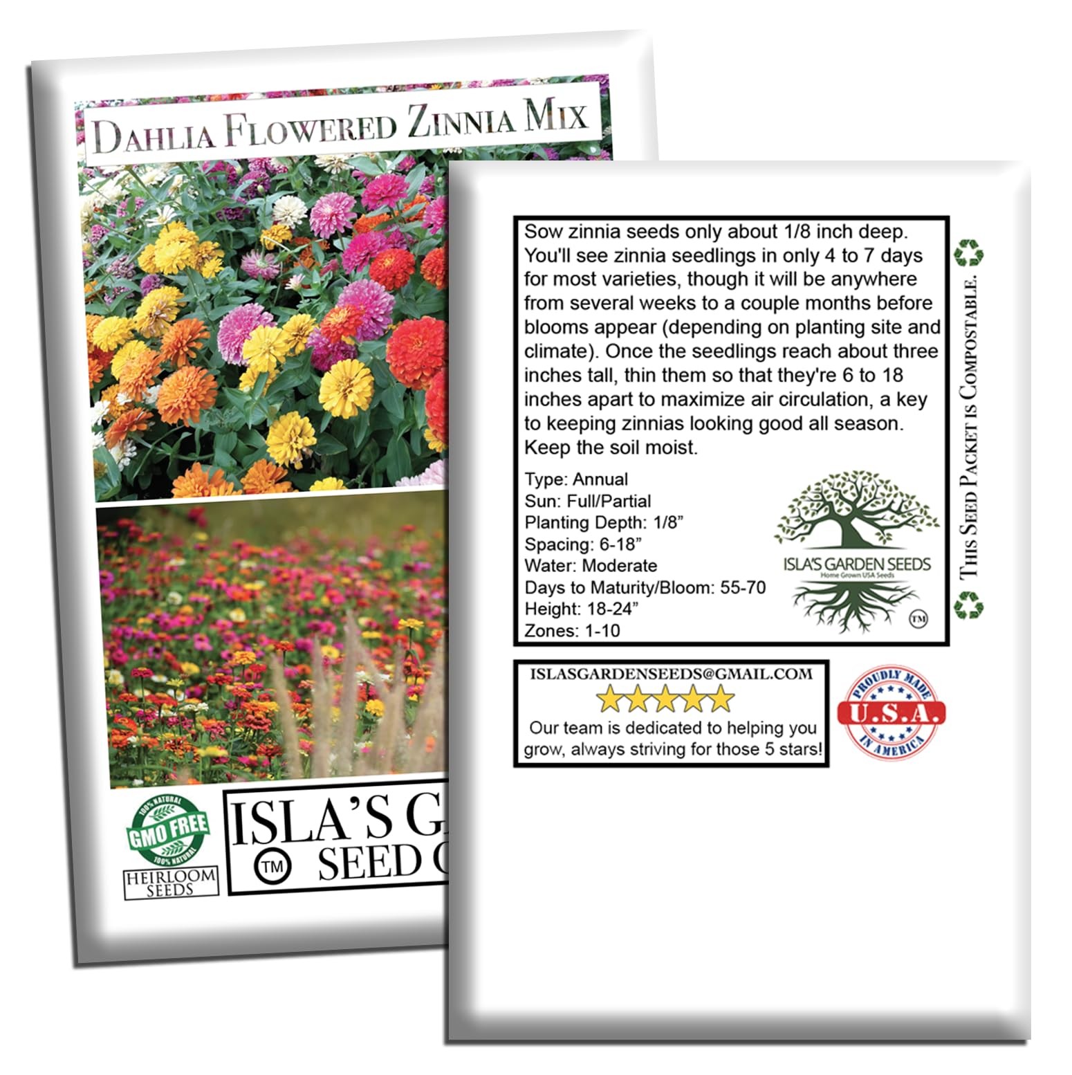 Dahlia Flowered Zinnia Mix Seeds (Zinnia Red, Pink, Yellow, White, Orange